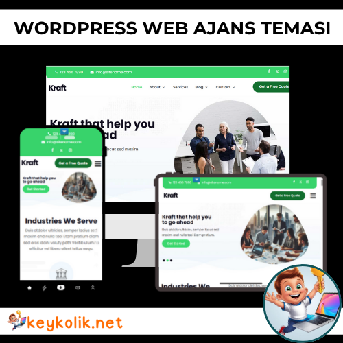 Web Geliştirici WordPress Teması